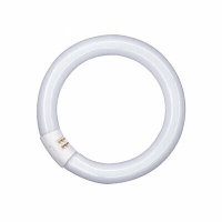 Kreisform Leuchtstofflampe T9 22W 530 (Warmweiß)...