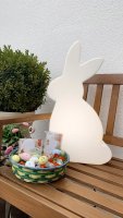 Shining Rabbit 50 inklusive LED Allgebrauchslampe...