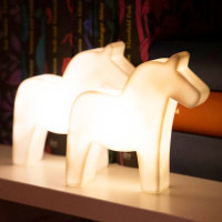 Shining Horse 12 Micro LED Warmweiß inklusive Li-Ion Akku + USB-C Kabel