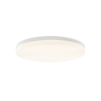 LED Deckenleuchte "Angus"