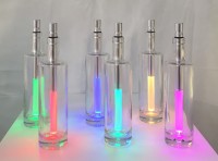 LED Flaschenleuchte "Bottlelight Vivi" 850 (Weiß) + RGB einstellbar Batteriebetrieb dimmbar