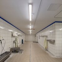 LED EX Schutzleuchte "MISTRALex" Zone 2 & 22 27W 840 (Weiß) IP66