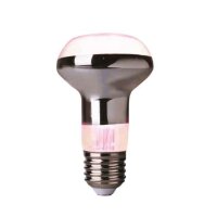 LED Pflanzenlampe R63 4W E27